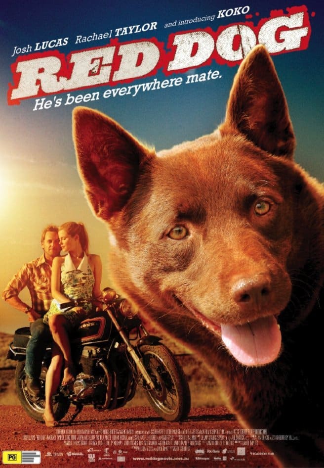 филми с кучета